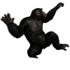 Obraz premium 3D rendered illustration of a chimpanzee isolated on a transparent background 