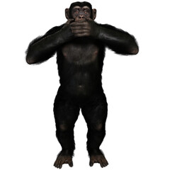 3D rendered illustration of a chimpanzee isolated on a transparent background 