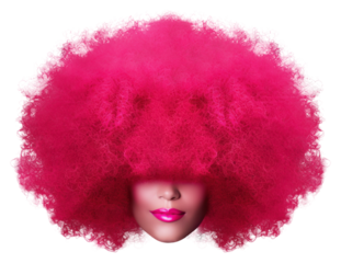PNG Afro wig afro white background.