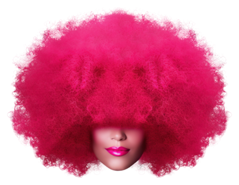 PNG Afro wig afro white background.
