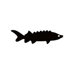 Vector illustration of fresh sturgeon sea fish, solid black on white. For menu, label, recipe, product packaging. Seafood design. Adriatic sturgeon. For action promotion and advertising. Caviar.