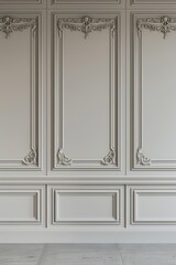 Elegant classic interior with a blank wall featuring detailed panels moldings