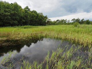 Landschaft im Sommer an einem See