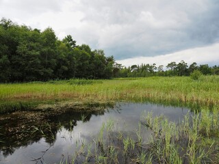 Landschaft im Sommer an einem See