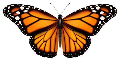 Fototapeta premium PNG A Monarch butterfly on the white background
