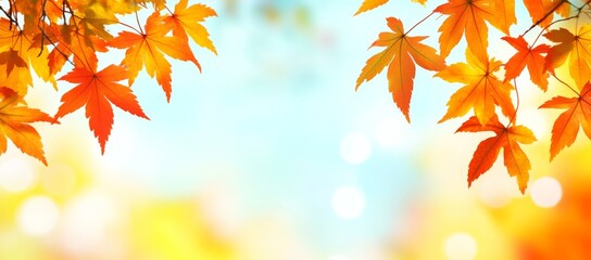 Fototapeta premium Golden autumn concept with yellow leaves on blue sky background. Sunny day, warm temperature.