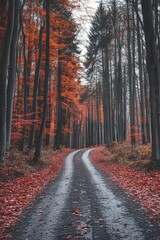 Obraz premium Branches and vivid gold and red fall foliage in the autumn forest at dawn illuminated by warm sun rays.