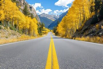Fototapeta premium An autumn landscape photograph of a road going through a tunnel of golden aspen trees