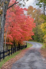 Naklejka premium Beautiful autumn landscape shot of a path with colorful trees on both sides.