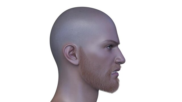 男性の顔アップ　3DCGレンダリング