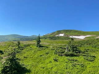 Obraz premium Carpathian Mountains in Ukraine