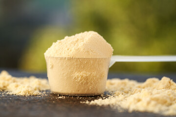Whey protein powder in a measuring cup