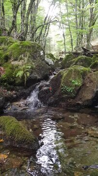 Les Cascades d'Orgon