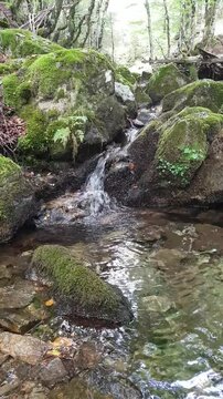 Les Cascades d'Orgon