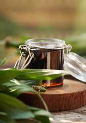 Homemade ribwort plantain syrup for cough in a glass jar