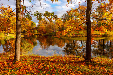 Autumn foliage in Alexander park, Tsarskoe Selo (Pushkin), St. Petersburg, Russia