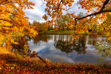 Autumn foliage in Alexander park, Tsarskoe Selo (Pushkin), St. Petersburg, Russia