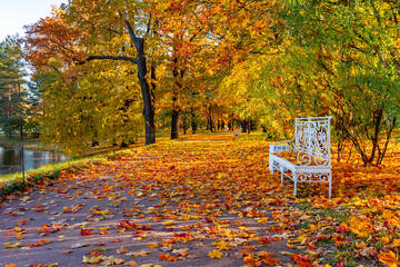 Catherine park in autumn foliage, Tsarskoe Selo (Pushkin), Saint Petersburg, Russia