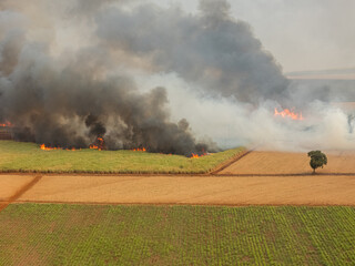 Sugar cane Fire plantation smoke