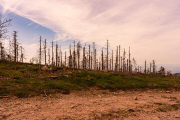 Paysage-  Mummelsee dans la Forêt-Noire près de Seebach