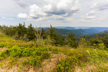 Paysage de  Mummelsee dans la Forêt-Noire près de Seebach