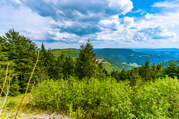 Paysage - Mummelsee dans la Forêt-Noire