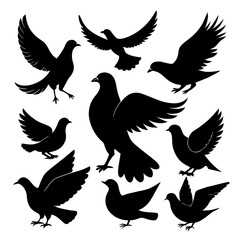 Naklejka premium A collection of dove silhouettes in different poses ideal for artistic projects illustrations or any design needing bird imagery