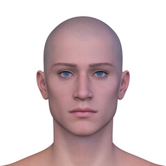 男性の顔アップ　3DCGレンダリング