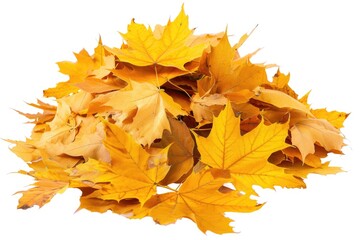A pile of yellow leaves against a clean white background, perfect for autumn or nature-themed designs