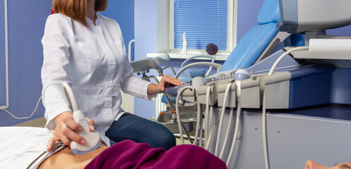 The doctor performs an ultrasound diagnosis of the abdominal cavity of a pregnant girl at an early stage of pregnancy.