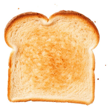 PNG a toasted bread on the white background