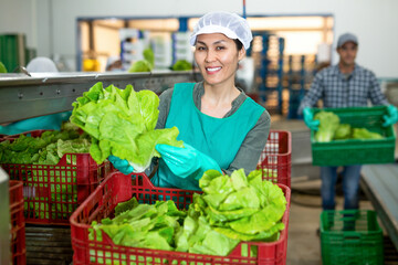 Positive asian workwoman working on sorting line in vegetable factory, arranging selected green...