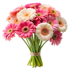 Fototapete bouquet of gerbera flowers isolated on white © anastasia_7em