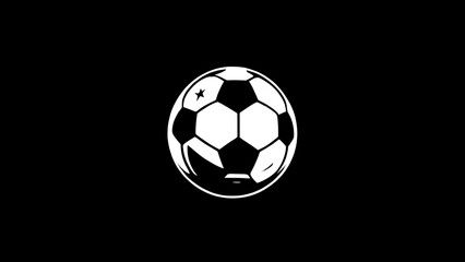 Obraz premium soccer ball on black background