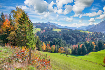 Captivating view of  Alpine green fields  near Abtenau village at autumn sunny day.