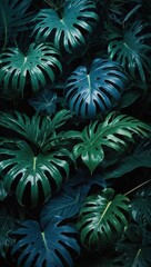 A lush green jungle with many leaves and vines