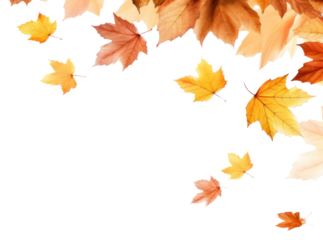 PNG Autumn Cutouts leaves backgrounds autumn maple.