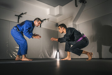 BJJ Brazilian Jiu jitsu Athlete fighters training sparing technique at the academy fight in gi kimono