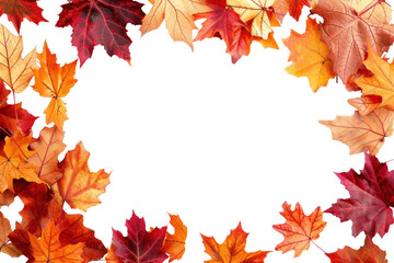 Fototapeta premium PNG Frame Of Autumn Leaves backgrounds autumn leaves.