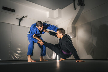BJJ Brazilian Jiu jitsu Athlete fighters training sparing technique at the academy fight in gi...