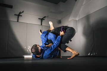 BJJ Brazilian Jiu jitsu Athlete fighters training sparing technique at the academy fight in gi...