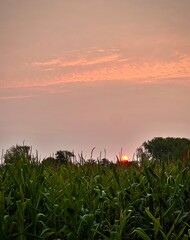 sunset over field, lengerich, germany