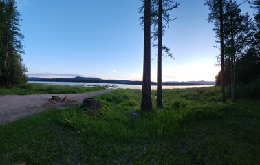 landscape with trees