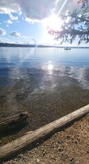 train passing through the tunnel