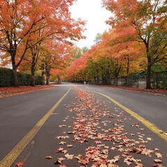 road in autumn