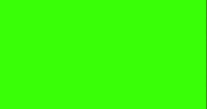 3D Store Shutters Opening And Then Closing animation mini size, Looping Video Of Grungy Factory Or Warehouse Door With Green Screen Behind. Window Shop Shutter opening chroma key 4k 30 fps video