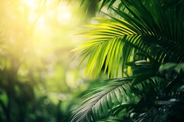 Nature leaves, green tropical forest, backgound