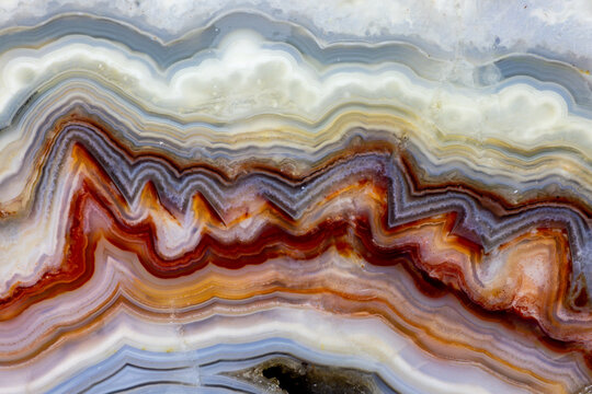 USA, Washington State, Sammamish. Close-up of crazy Mexican Agate