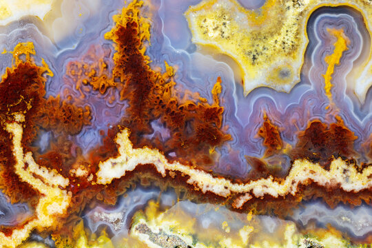 USA, Washington State, Sammamish. Close-up of Cathedral Agate
