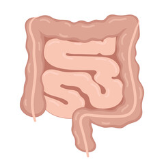 Intestine illustration, human internal organ vector design